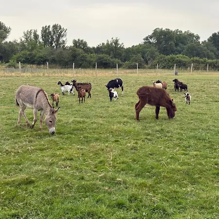 Avec Piscine Graulhet