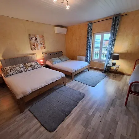 Avec Piscine Et Animaux 4* Graulhet