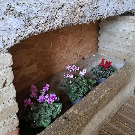 Avec Piscine Et Animaux 4*