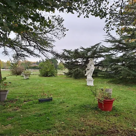 Avec Piscine Et Animaux 4* Graulhet