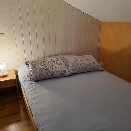 Frühstückspension Avec Piscine Et Animaux Graulhet