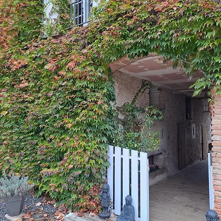 Avec Piscine Et Animaux