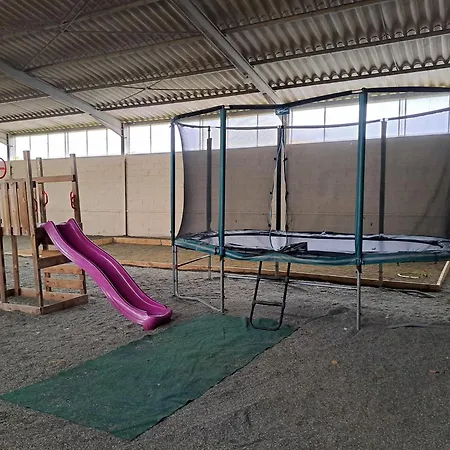 Oda ve Kahvaltı Avec Piscine Et Animaux 4*